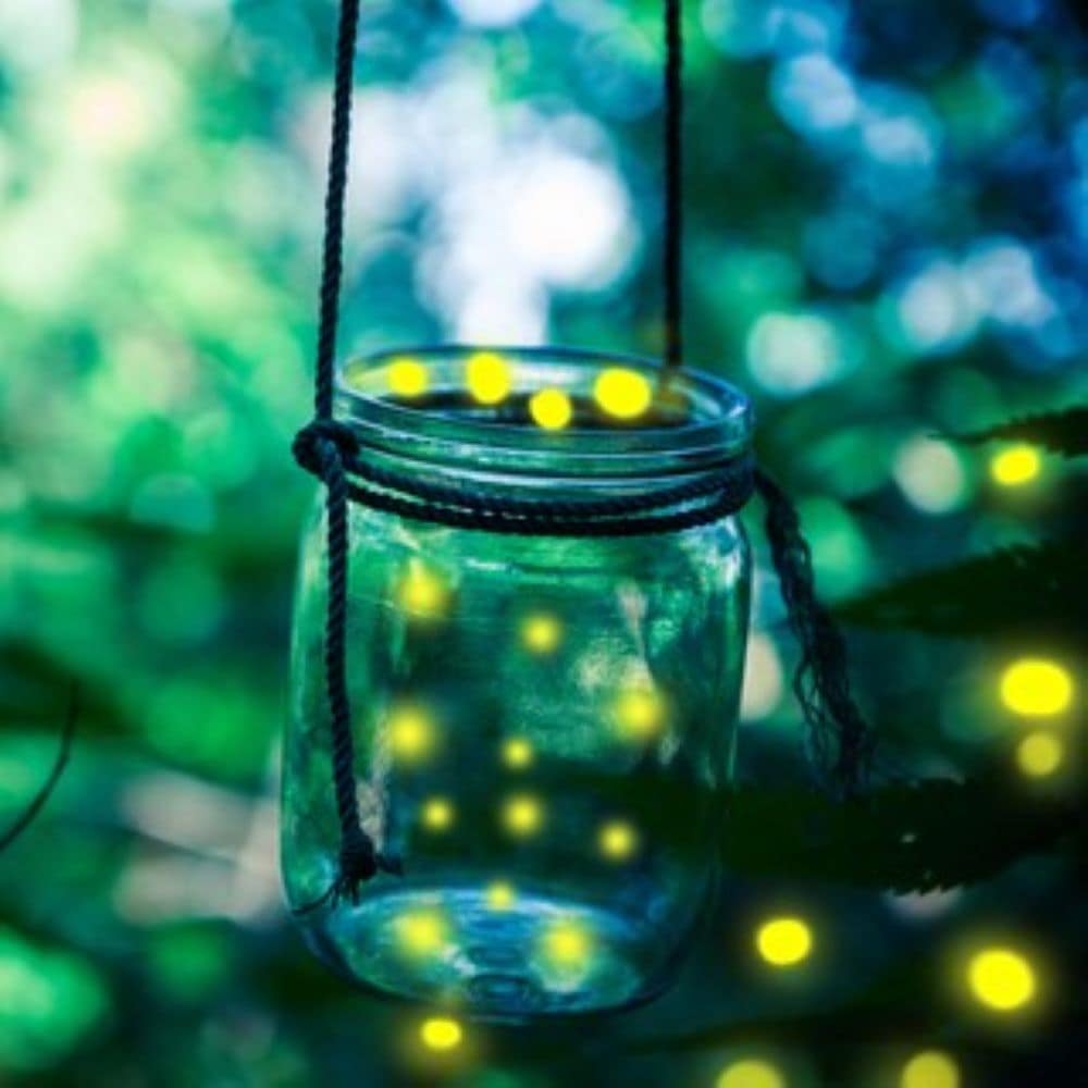 Fireflies In and Around a Jar