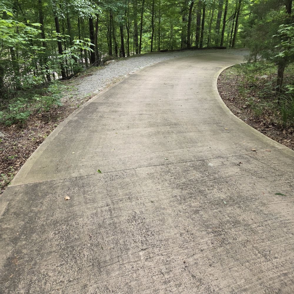 Road Winding through a Forest