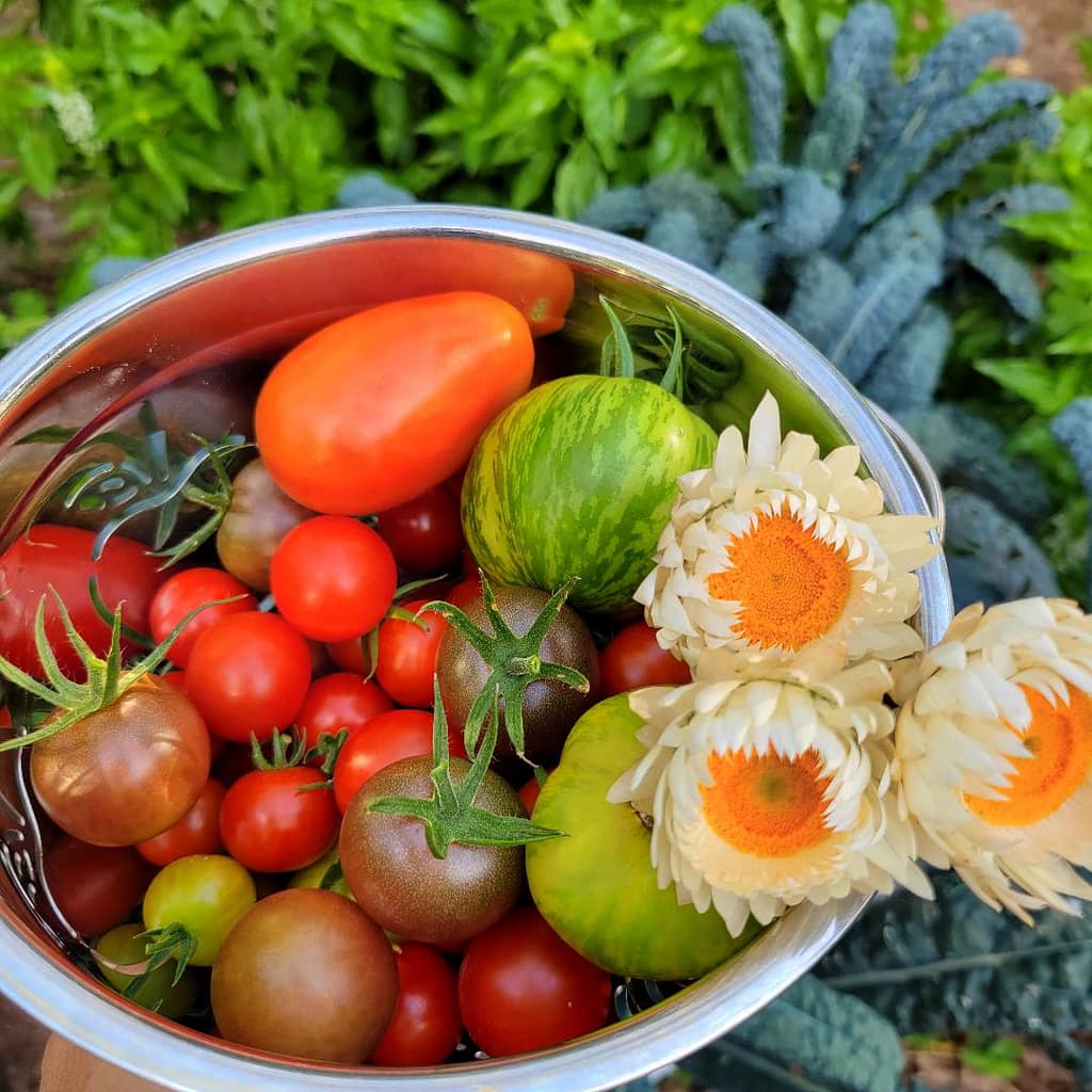 Tomatoes in a Basket with Flowers