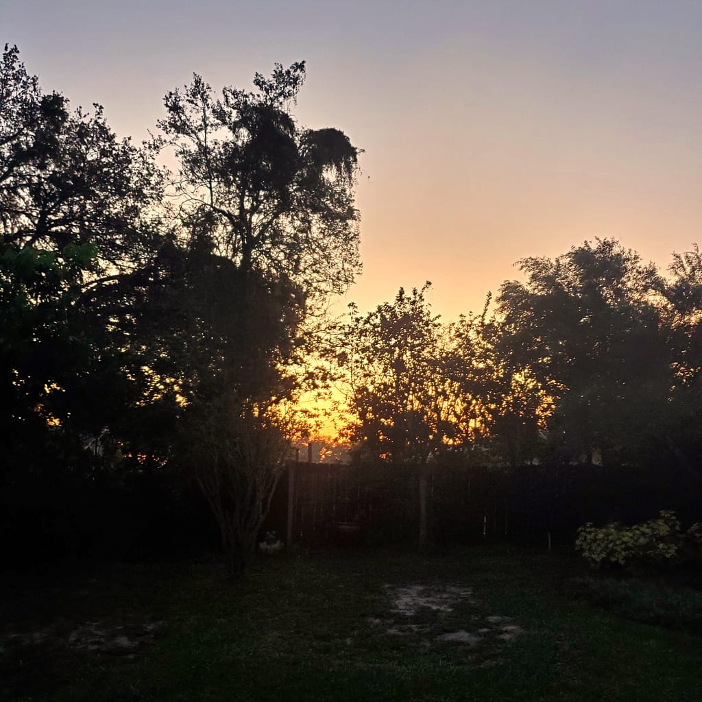 Sunrise