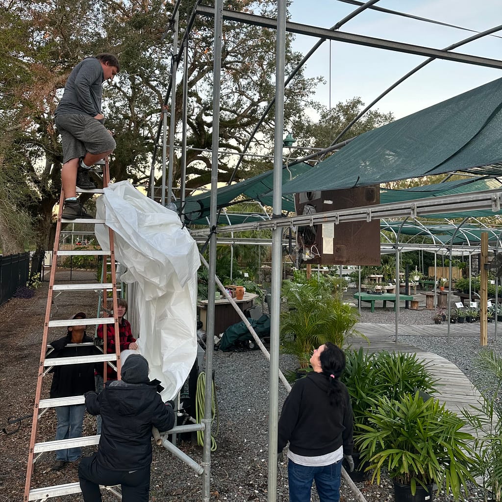 Kerby's Staff Preparing to Pull Plastic on the Greenhouse Roof