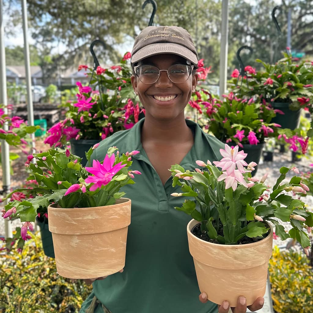 Kerby's Staff Member Holding Two Christmas Cactus Plants