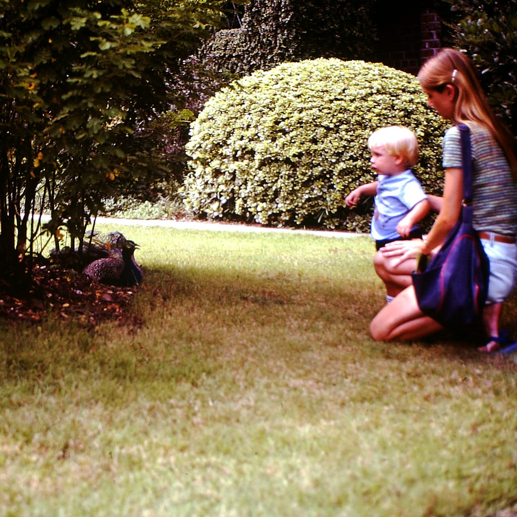 Toddler Joey with His Mom Looking at a Bird