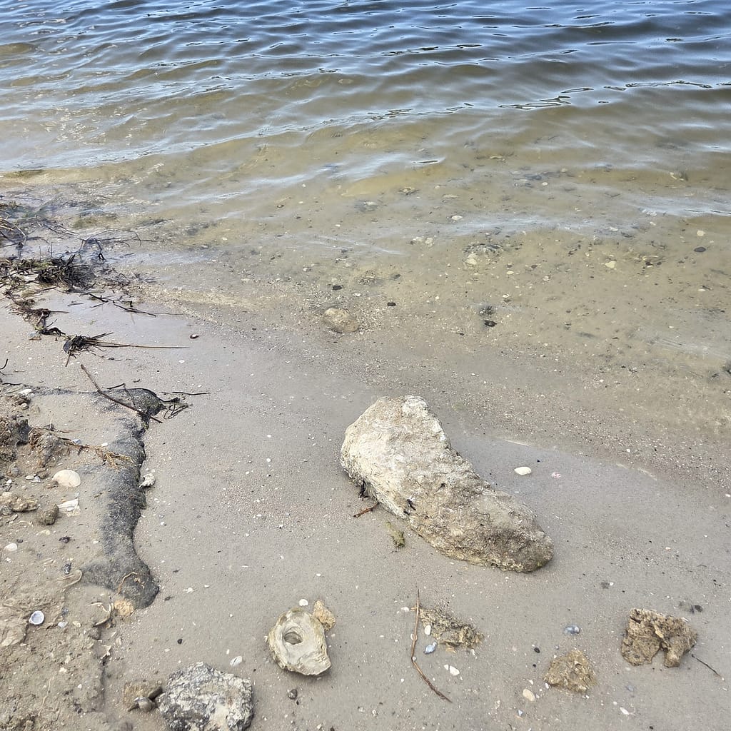 Rocks on the Edge of a Lake