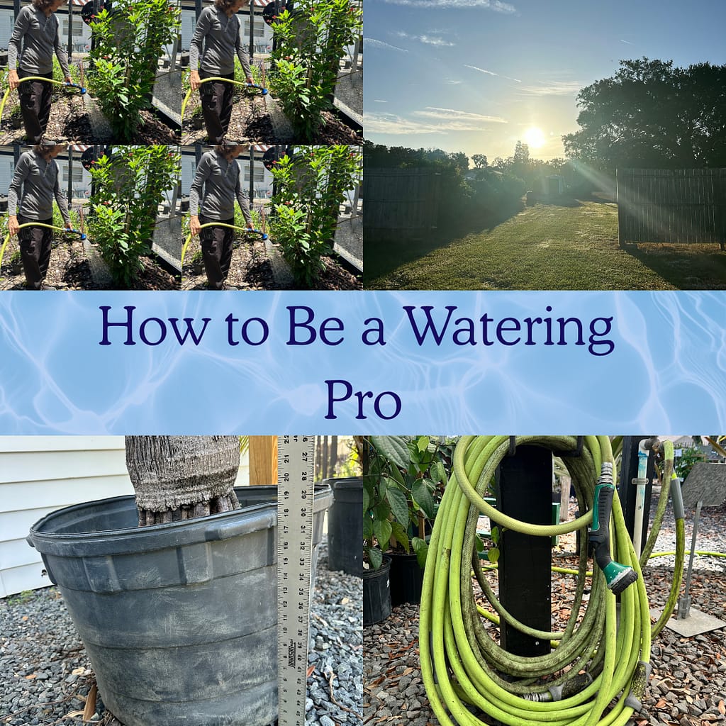 Grid of Pictures to Represent Watering Tips for Plants with the title "How to Be a Watering Pro"