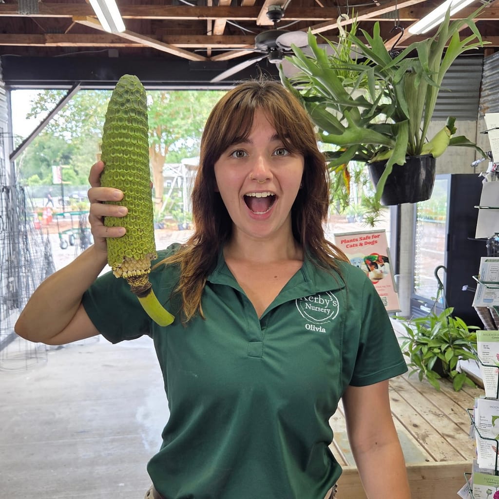 Kerby's Staff Member Holding Monstera Deliciosa Fruit