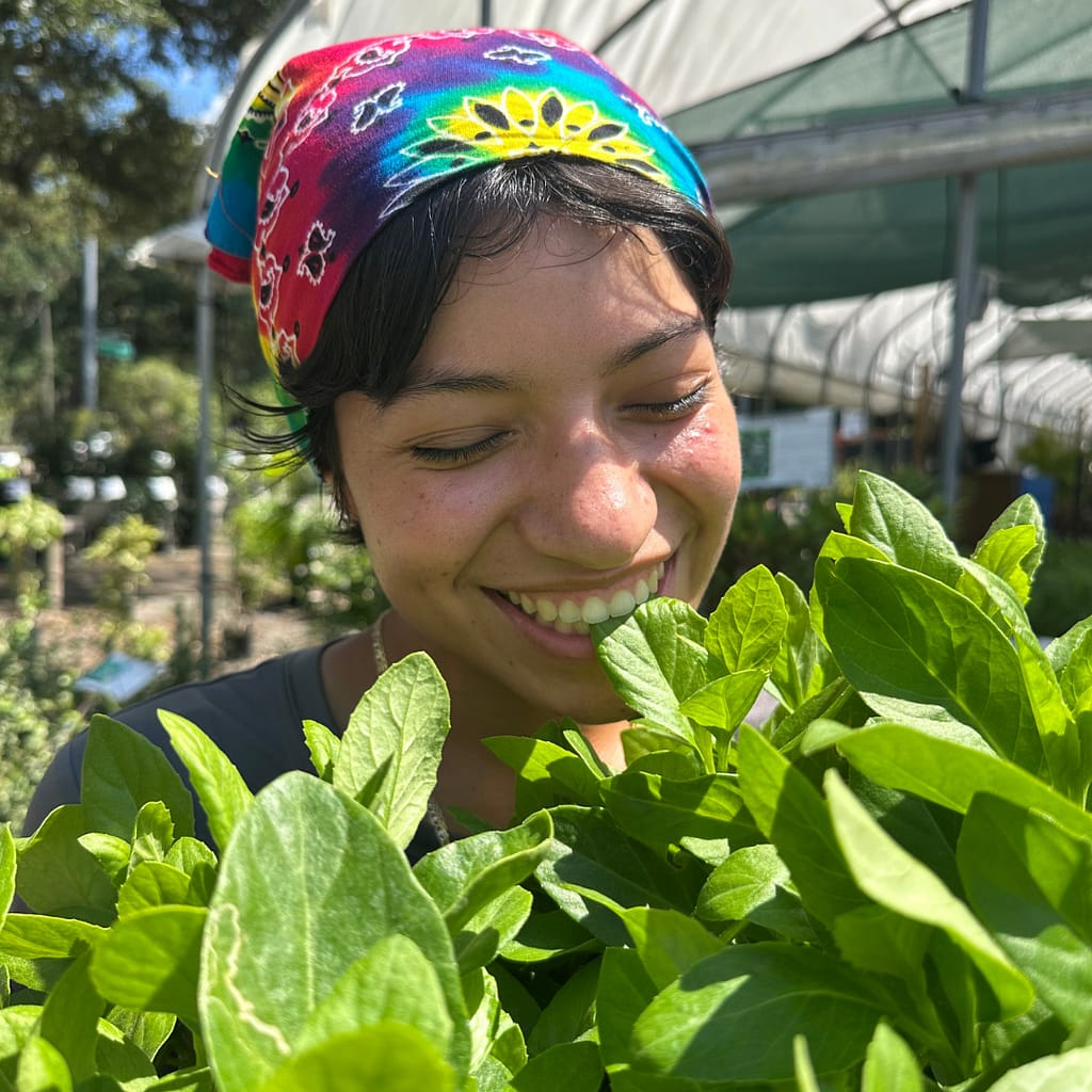 Kerby's Staff Member Holding Longevity Spinach