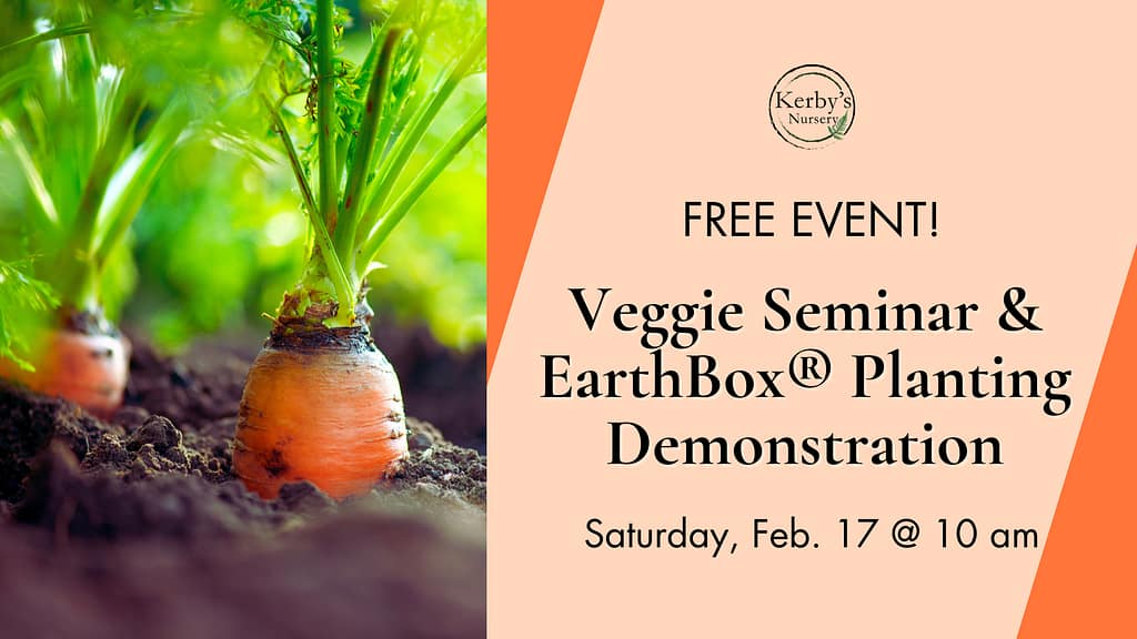 Kerby's Nursery Spring Veggie Gardening Seminar Info Piece with Picture of Carrots
