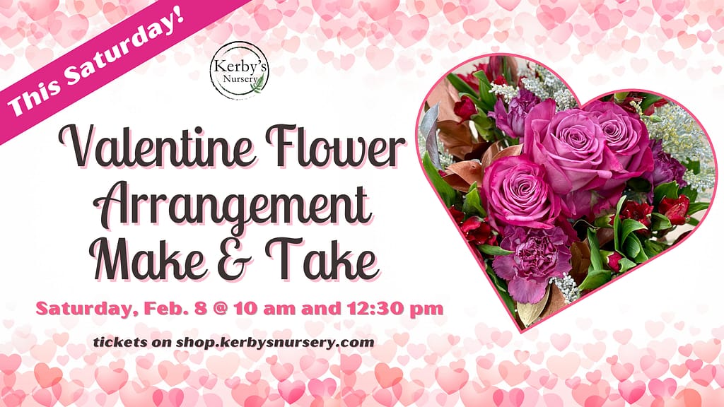 Kerby's Nursery Valentine Flower Arrangement Make & Take on February 8, 2025