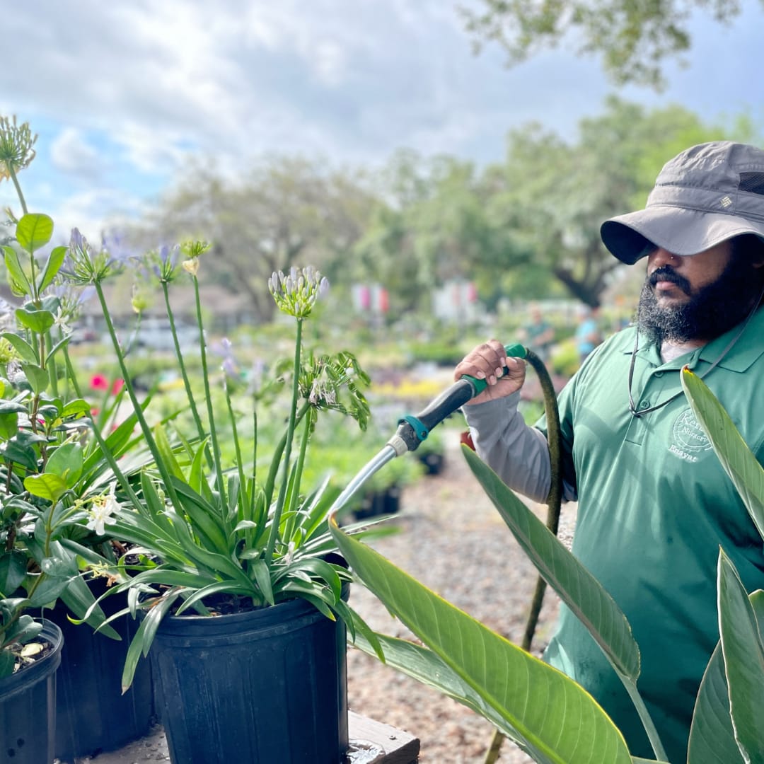 Kerby's Staff Watering Plants