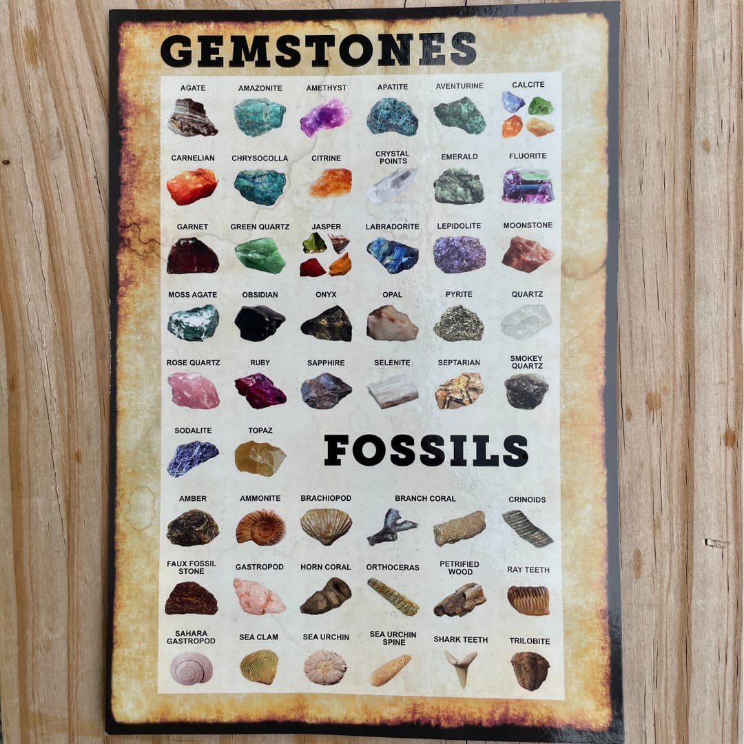 Picture of Gemstones and Fossils That May Be Found in Kerby's Nursery Mining Rough
