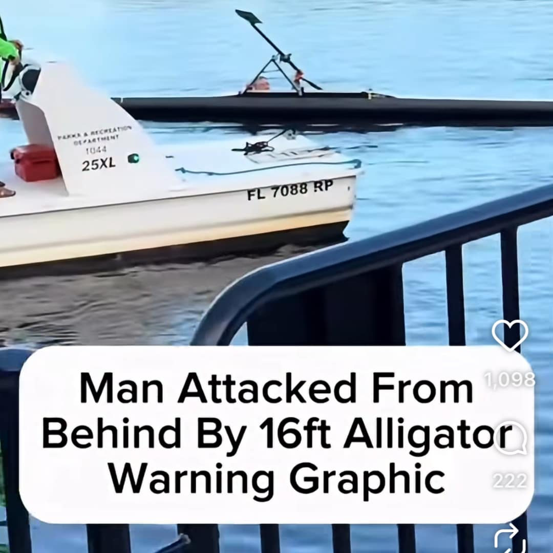 Picture of Man in River, Trying to Get Back into Boat, with the Words "Man Attacked from Behind by 16ft Alligator Warning Graphic"