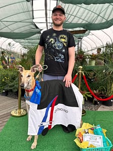 Greyhound Dog Dressed Like a Greyhound Bus for Pet Parade with Owner Holding Leash
