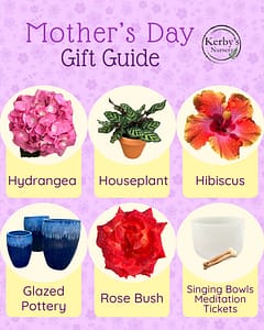 Kerby's Nursery Mother's Day Gift Guide 2026 with Pictures of Hydrangea, Houseplant in Pot, Hibiscus, Glazed Pottery, Rose and Singing Bowl (for upcoming event)