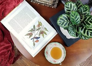 Cup of Tea, Calathea, Books on Table