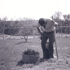 Joey (Toddler) and His Dad in the Garden