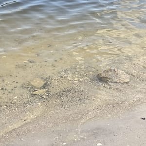 Rocks on the Edge of a Lake