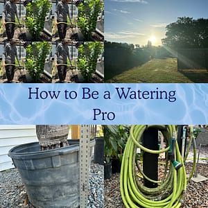 Grid of Pictures to Represent Watering Tips for Plants with the title "How to Be a Watering Pro"