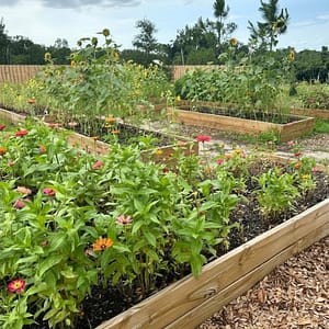 The Flower Patch at Kerby's Nursery