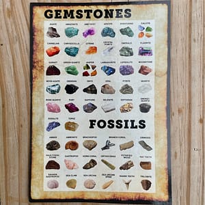 Picture of Gemstones and Fossils That May Be Found in Kerby's Nursery Mining Rough