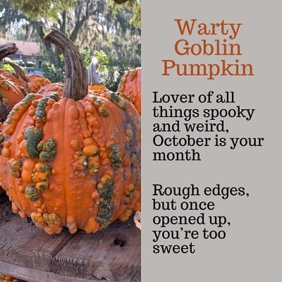 Warty Goblin Pumpkin Personality