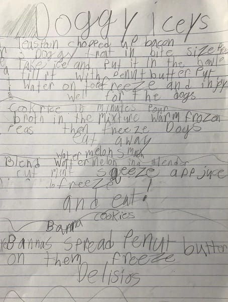Maddy's Doggy Iceys Recipes