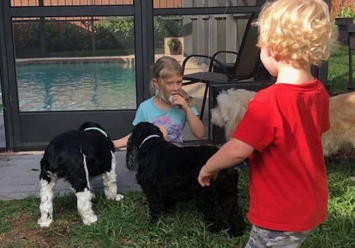 Kids with Dogs at a Party