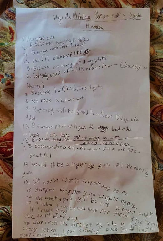 Maddy's Reasons Why She Needs a Syrian Hamster