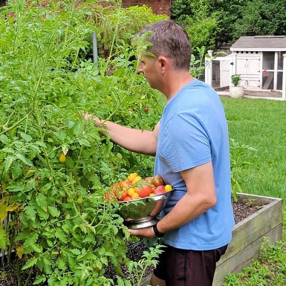 Joey Harvesting