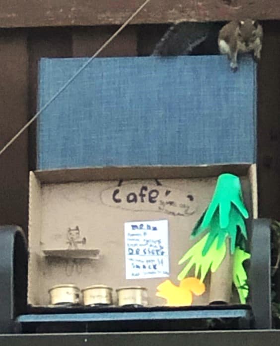 The Squirrel Cafe has a Squirrel Visitor