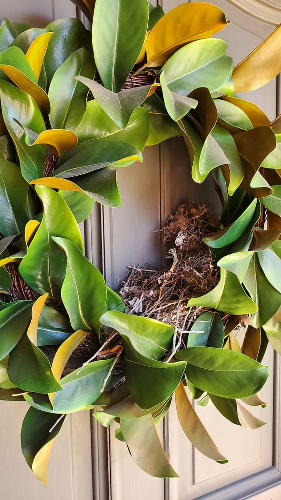 Wren Nest in a Front Door Wreath