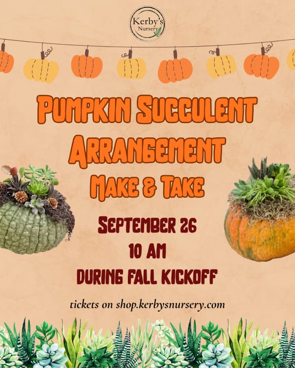 Kerby's Nursery Pumpkin Succulent Arrangement Make & Take Information, September 26, 2026