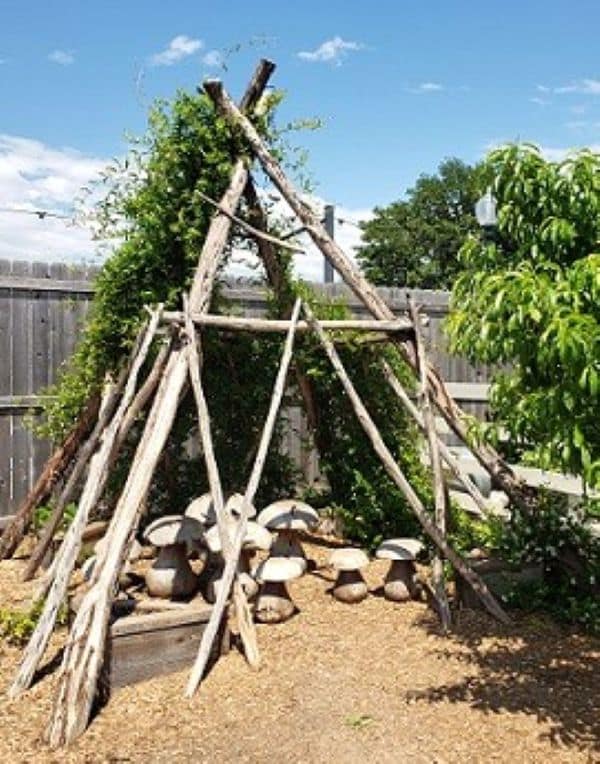 Teepee for Bean Plants to Climb