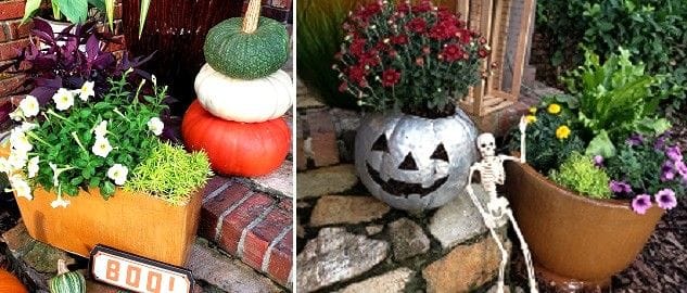 Fall Decorations of Pumpkins and Plants on Front Porch
