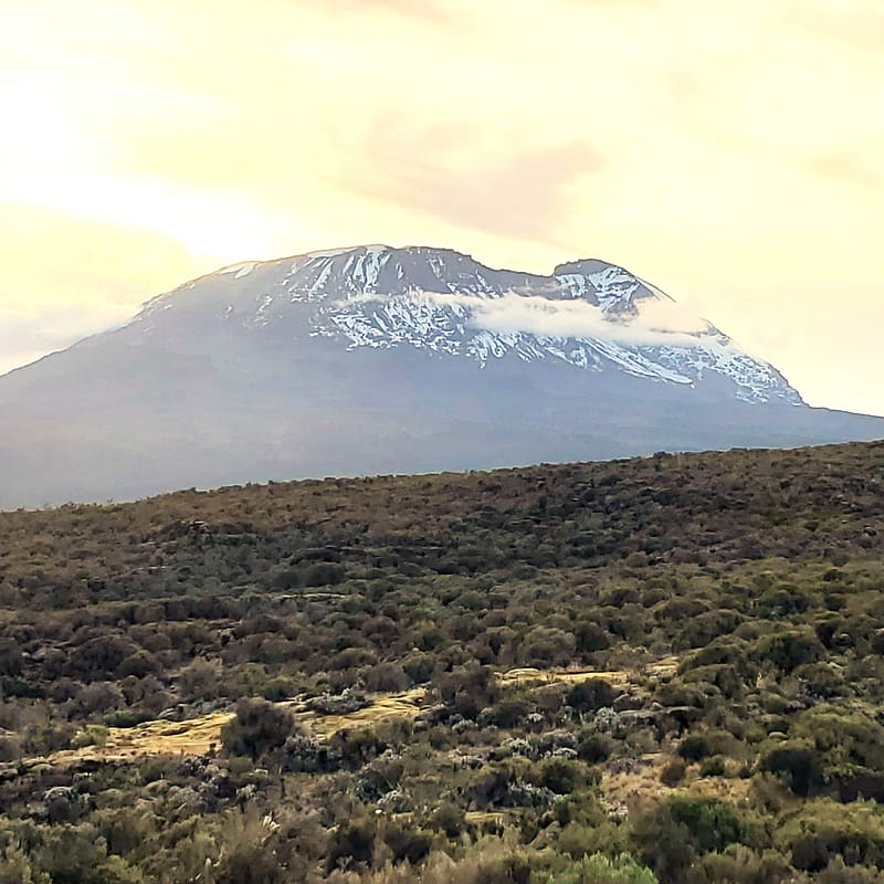 Mt. Kilimanjaro