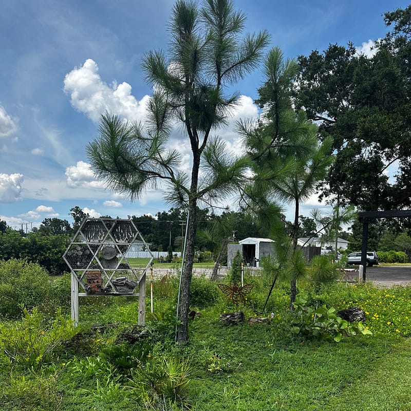 Homegrown National Park at Kerby's