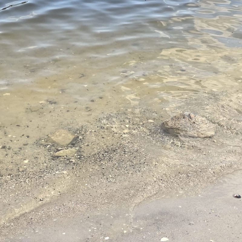 Rocks on the Edge of a Lake