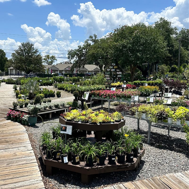 A View of Kerby's Nursery with Plants