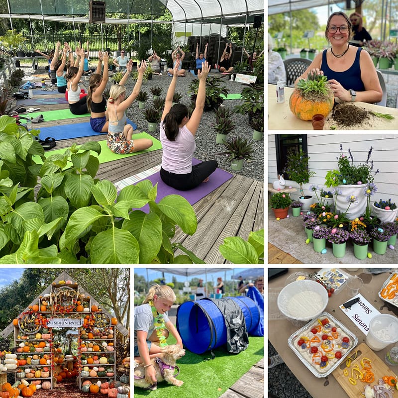 Grid of 6 Pictures of Events at Kerby's Nursery