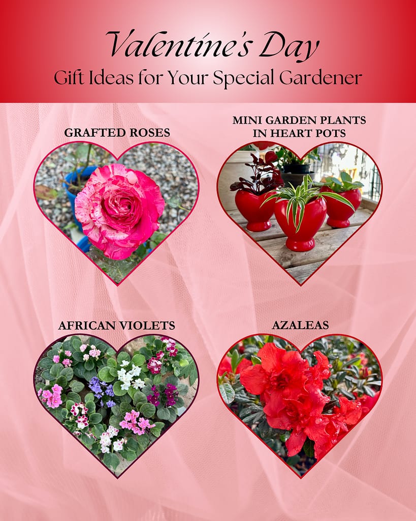 2025 Valentine Gift Guide Ideas