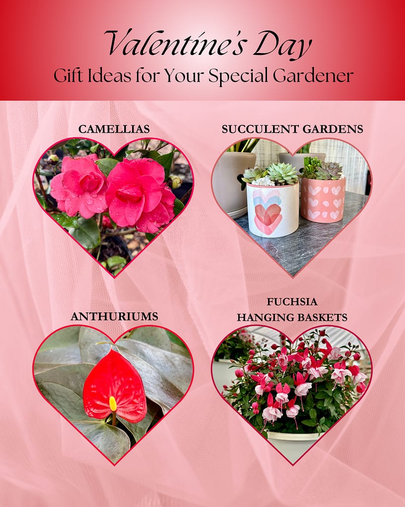 Valentine Gift Guide Ideas
