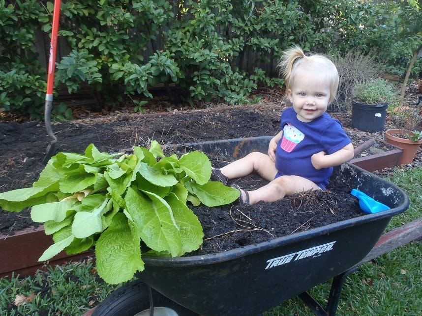 Abby in Wheelbarrow