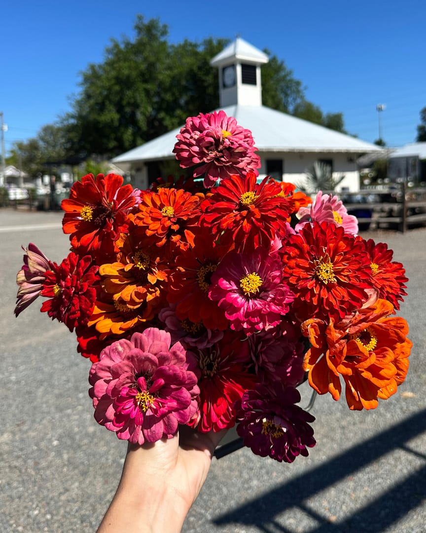 Hand Holding Bouquet of Flowers with Kerby's Nursery Farmhouse in the Background