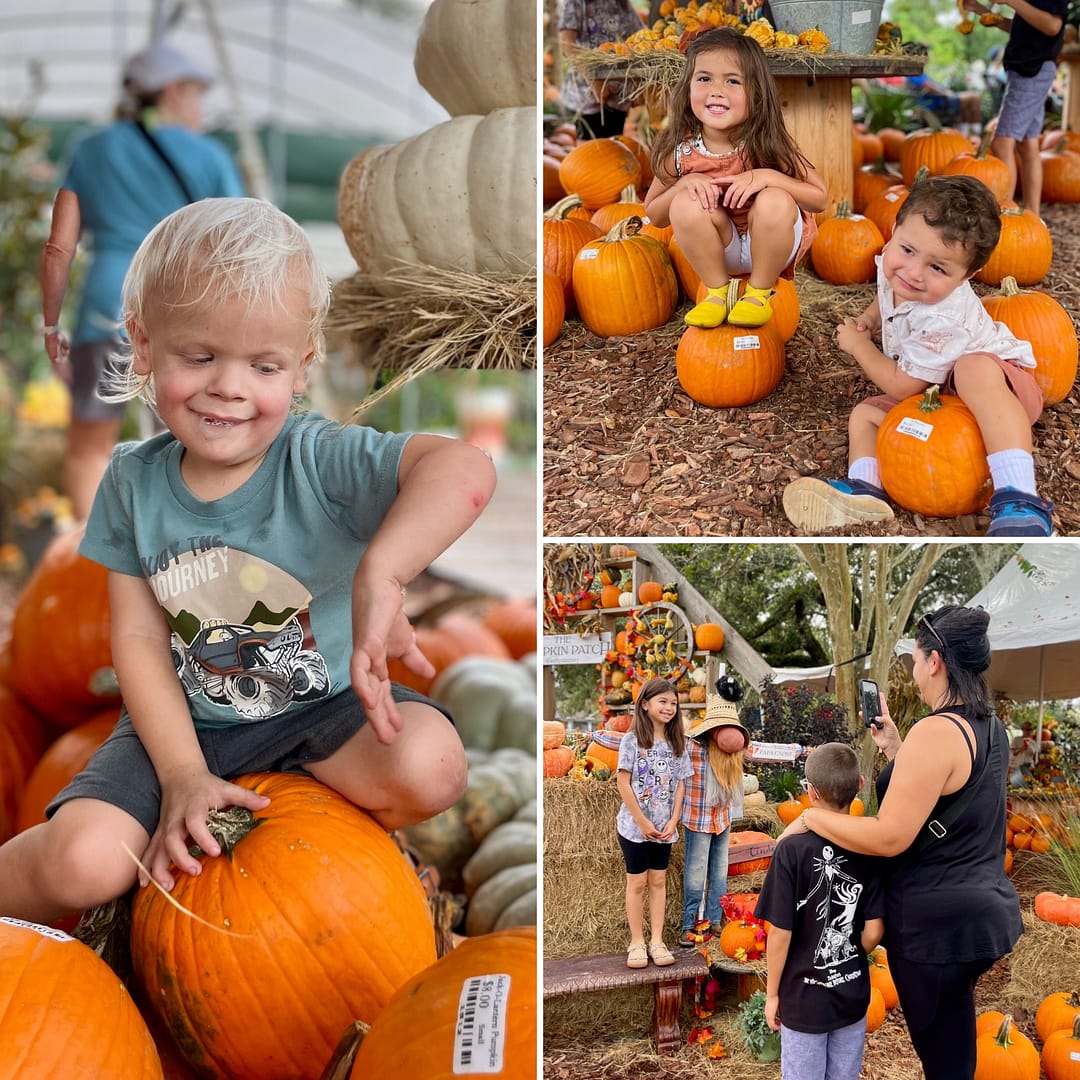 Children Enjoying Kerby's Pumpkin Patch