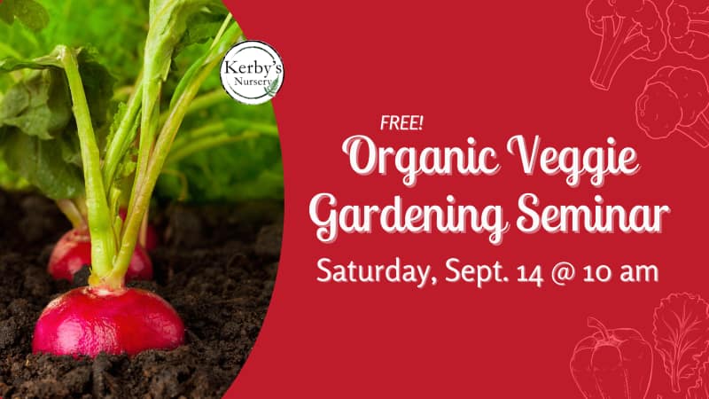 Kerby's Nursery Organic Veggie Gardening Seminar Info, Sept. 14, 2024