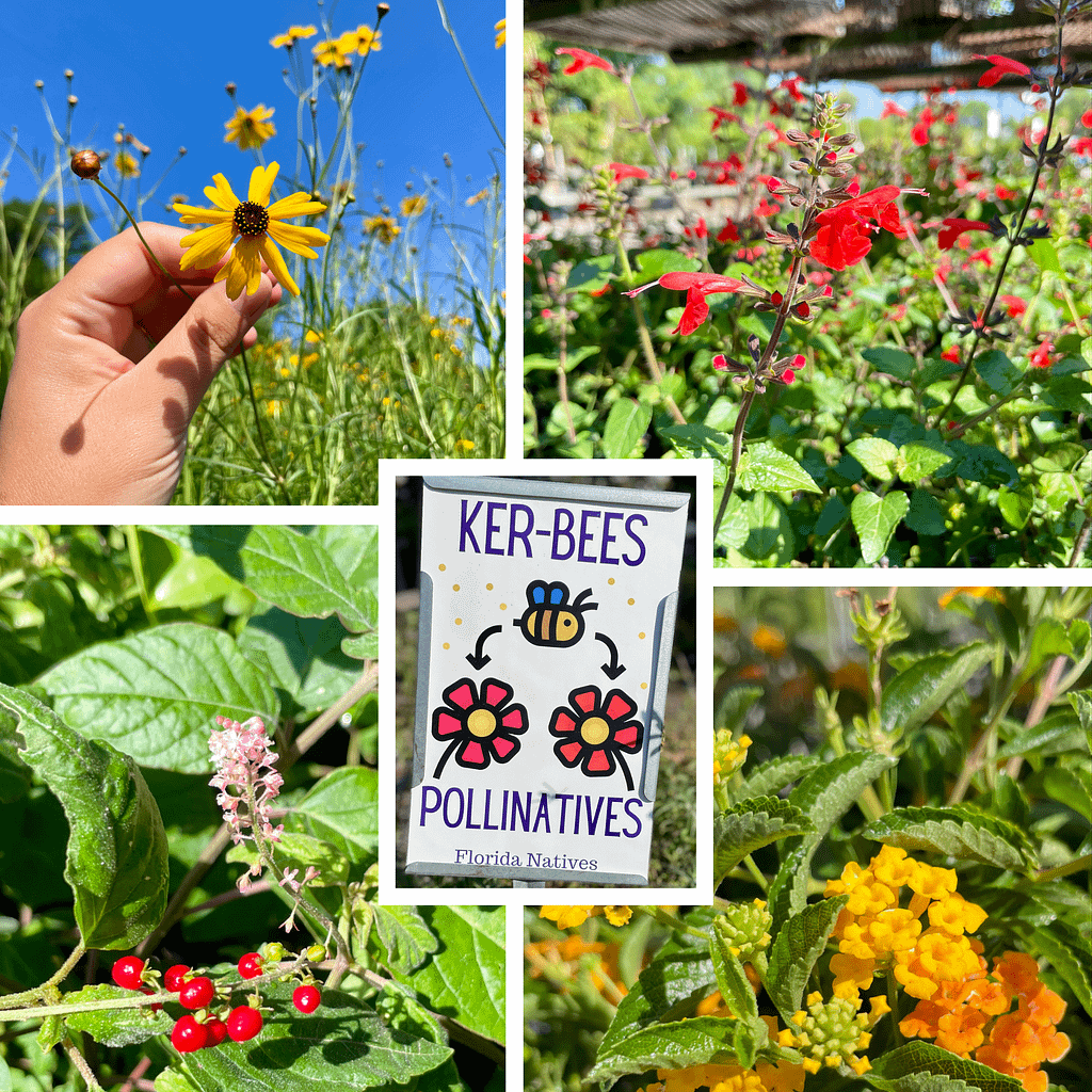 Four Florida Native Flowers with a Sign Saying "Ker-Bees Pollinatives"