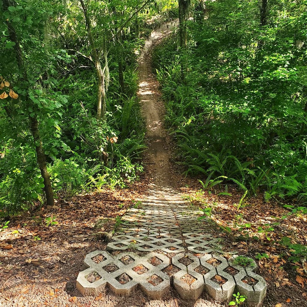 Top of a Descent on Chaos, Mountain Bike Trail