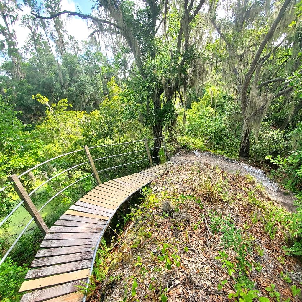 Curve on Chaos, Mountain Bike Trail