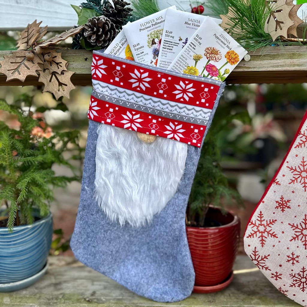 Seed Packets in a Stocking with Plants in Pots Behind