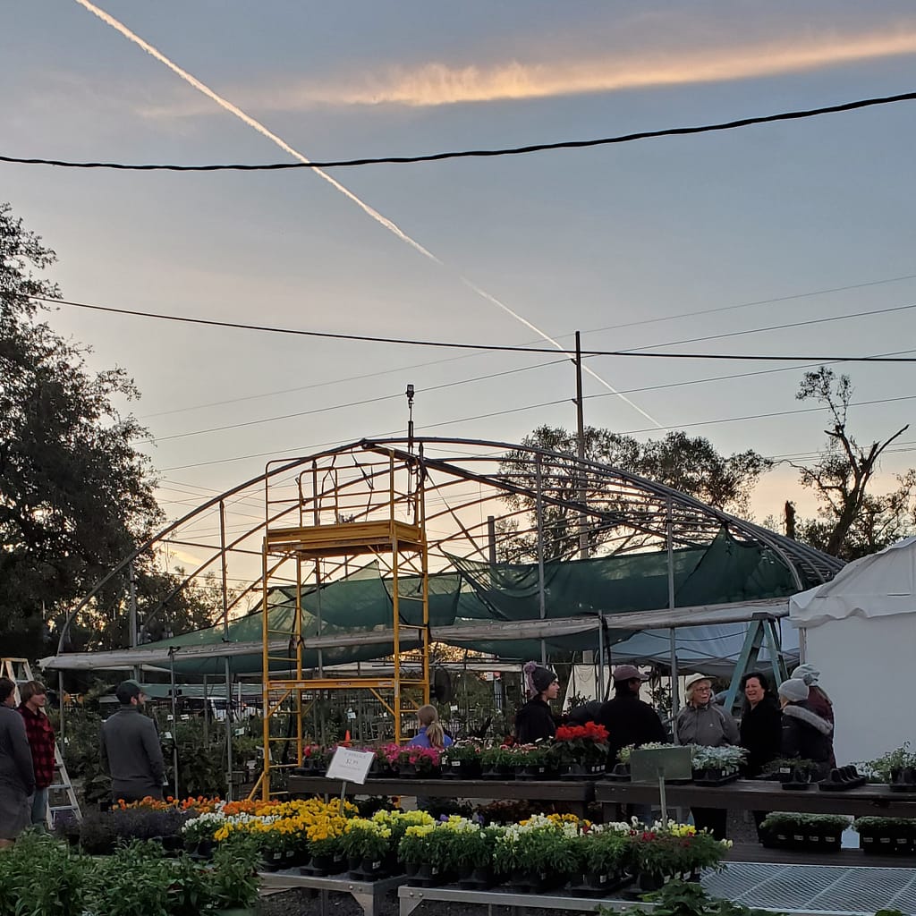 The Kerby's Nursery Greenhouse with No Roof